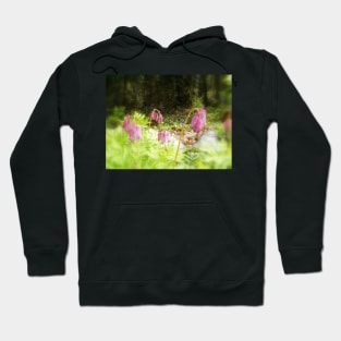 pink bleeding hearts #4 Hoodie